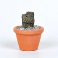 Natural pyrite crystal mineral in terracotta pot for desk decor and DIY landscape - Chalcopyrite