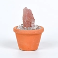 Natural pink crystal raw stone in terracotta pot for creative desktop decoration - Strawberry Quartz