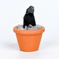 Pierre brute de tourmaline noire en pot de terre cuite avec cristaux blancs - Obsidienne