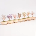 Set of seven handmade crystal money trees with diverse colorful gemstones and wooden bases - Glass Dome Style (13*7.5cm) / Citrine
