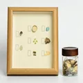 Wood element crystal shadow box with Green Phantom, Peridot and herbal specimens - Wood Element Set (Frame + Bottle)