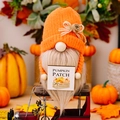 Kabouter met oranje gebreide muts en Pumpkin Patch bordje voor herfstdecoratie - Oranje