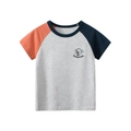 Kids cotton raglan tee in grey with orange and blue sleeves featuring cartoon dog print - Gray/Blue/Orange