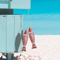 Set van twee houten visvormige decoraties in nautische stijl met henneptouw op strand - Roodbruine Vissen Hanger