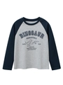 T-shirt raglan a maniche lunghe per bambini con stampe dinosauri e tessuto grigio - 120cm / Grigio Melange & Blu Reale