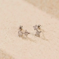 Orecchini a perno con stella in zircone e acciaio argento con chiusura a vite - Orecchini a Stella a Quattro Punte / Argento