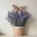 Close-up of lavender flowers in a rustic pink metal bucket with a burlap bow - Lavender Flower Basket