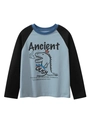 Blaues Raglan Langarmshirt für Kinder mit Cartoon Tyrannosaurus Rex Aufdruck - 120cm / Wasserblau Und Schwarz