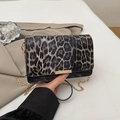 Fashionable leopard print crossbody bag with gold chain and metal buckle closure - Leopard Coffee