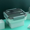 Moderne mintgroene bento lunchbox met meerdere vakken en semi-transparant deksel - Groen