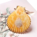 Scallop napkin ring with golden edge and yellow shell finish on floral background - Orange Yellow Scallop Style (5)