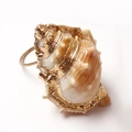 Creative conch napkin ring with natural shell texture and elegant gold foil finish - Large Brown Conch Style (7)