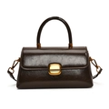 Chic dark brown square crossbody bag with glossy wrinkled texture and gold buckle - Olive Brown