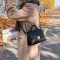Elegant black lychee grain handbag with gold metal clasp shown in a warm autumn park setting - Black