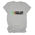 Detail of grey crewneck T-shirt showing DUDE I SAID FRIENDLY text and colorful stripes - Light Grey (Black Text)