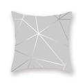 Square peach skin pillowcase with grey geometric silver lines in modern minimalist style - Light Grey Silver Geometric Lines (DM157-5)