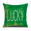 Federa verde per San Patrizio con stampa LUCKY believe su tessuto di lino - 22ym23-4 / 45*45 (Solo fodera)