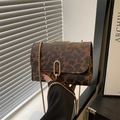 Trendy leopard print crossbody bag with gold chain strap and oval metal clasp closure - Leopard Coffee