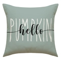 Saliegroene linnen kussenhoes met witte PUMPKIN en zwarte hello geprinte tekst - Saliegroen Hello Pumpkin (23YM45-1)