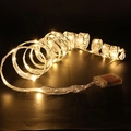 Festive Christmas ribbon with warm white LED lights and elegant silver lace edges - Warm White