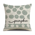 Fall decorative pillow cover with sage green pumpkin and black pumpkin text design - Ymg1-1 / 45*45cm (Single Pillowcase)