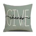 Detailed macro view of sage green cushion cover featuring Give Thanks text and autumn leaves - Ymg1-4 / 45*45cm (Single Pillowcase)