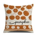 Detailed close-up of pumpkin pattern on linen texture autumn Thanksgiving pillow cover - Cream Orange Pumpkin Graphic with Pumpkin Text (YMG1-6)