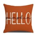 Herbst Kissenhülle in Orange aus Leinen mit HELLO pumpkin Print für die Deko - Hello Pumpkin Schriftzug