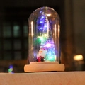 Mini-Weihnachtsbaum im Glaskuppel mit Weihnachtsmann und LED-Licht auf Holzsockel - Weihnachtsmann