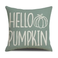 Sage green linen pillow case featuring HELLO PUMPKIN text and white pumpkin illustration - Sage Green Hello Pumpkin Style (YMG4-6)