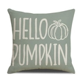 Sage green linen fall pillow cover featuring a white Hello Pumpkin printed design - Sage Green Hello Pumpkin Type (YMG5-19)
