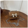 Detail of a brown mini crossbody bag featuring a silver bow buckle on wood surface - Brown