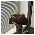 Detailed texture of dark brown woven shell bag with elegant gold metal clasp and chain - Coffee