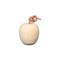 DIY apple-shaped unfinished wood hanging ornament with natural fiber cord and smooth finish - Apple