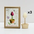 Kit fiori in legno fai-da-te con tre modelli naturali e scatola regalo inclusa - Stile Bocciolo Globulare (HET-0364)