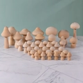 Ensemble de champignons en bois brut pour peinture DIY et décoration Montessori - Formes de Champignons Assorties (MGT-4001) / Couleur bois naturel