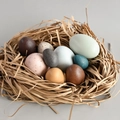 Set de huevos de madera pintados con texturas reales en un nido de estilo rústico - Colorido