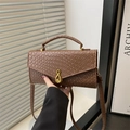 Braune Handtasche mit Webmuster, goldener Schnalle und verstellbarem Riemen in der Hand - Braun