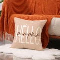 Beige autumn pillow case featuring HELLO pumpkin text and white pumpkin illustration - Hello Pumpkin Artistic Lettering Style (YMF60-2)