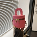 Pink cylindrical bucket bag with gold zippers and chain strap in a stylish interior - Rose Pink
