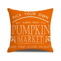 Orange autumn harvest pumpkin market cushion cover in farmhouse style with white lettering - Orange Base Pumpkin Market Text (YMF58-7) / 45x45cm