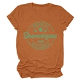 Detail of rust red crew neck t-shirt featuring clover badge and Shenanigans print - Burnt Orange