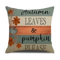Autumn pumpkin throw pillow cover with leaves and decorative seasonal text for home decor - Autumn Leaves & Pumpkin