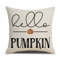 Fall themed cream linen pillow cover featuring hello PUMPKIN print with orange pumpkin - 18x18 Inch / Hello Pumpkin Style (YMF23-3)