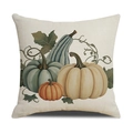 Fall themed pumpkin print pillow case in cream linen featuring autumn harvest graphics - 18x18 Inch / Multi-color Pumpkin Combination Style (YMF23-4)