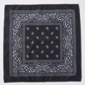 Black and white paisley pattern polyester bandana with detailed cashew floral print - Black With White Paisley (FJ-1) / 49x49cm