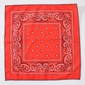 Classic red paisley bandana with white and black symmetrical pattern in polyester - Red Classic Paisley (FJ-3) / 49x49cm
