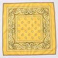 Classic yellow paisley bandana made of polyester for hip-hop and outdoor cycling - Yellow Paisley (FJ-8) / 49x49cm
