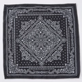 Black and white paisley pattern bandana scarf for hip-hop and outdoor riding gear - Black Bohemian (FJ-15) / 49x49cm