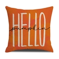 Oranger Kissenbezug für den Herbst mit Aquarelltextur und Hello Pumpkin Schrift - Orange Hello Pumpkin Druck (YMF41-2)